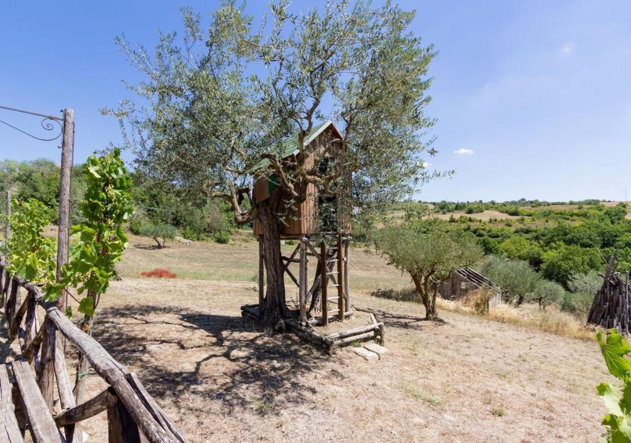 Agriturismo Torre Gialluise Gesualdo Luaran gambar