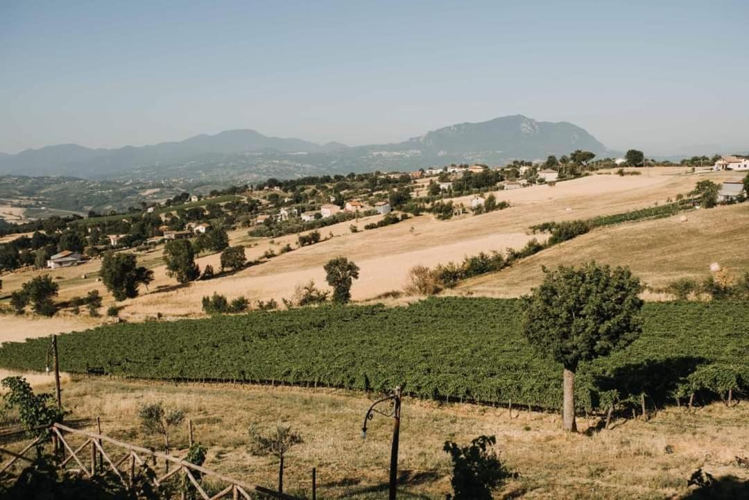Agriturismo Torre Gialluise Gesualdo Luaran gambar